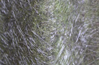 Uppend fibreglass roof work